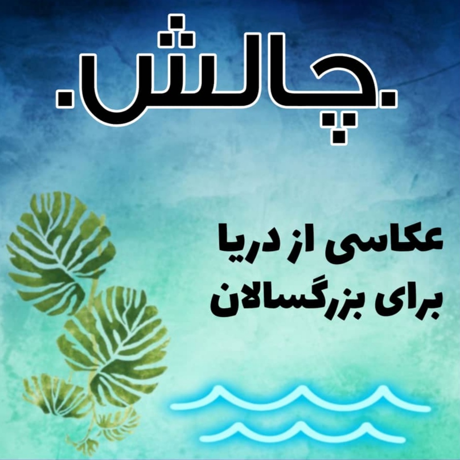 عکاسی از دریا برای بزرگسالان عکاسی از دریا برای بزرگسالان