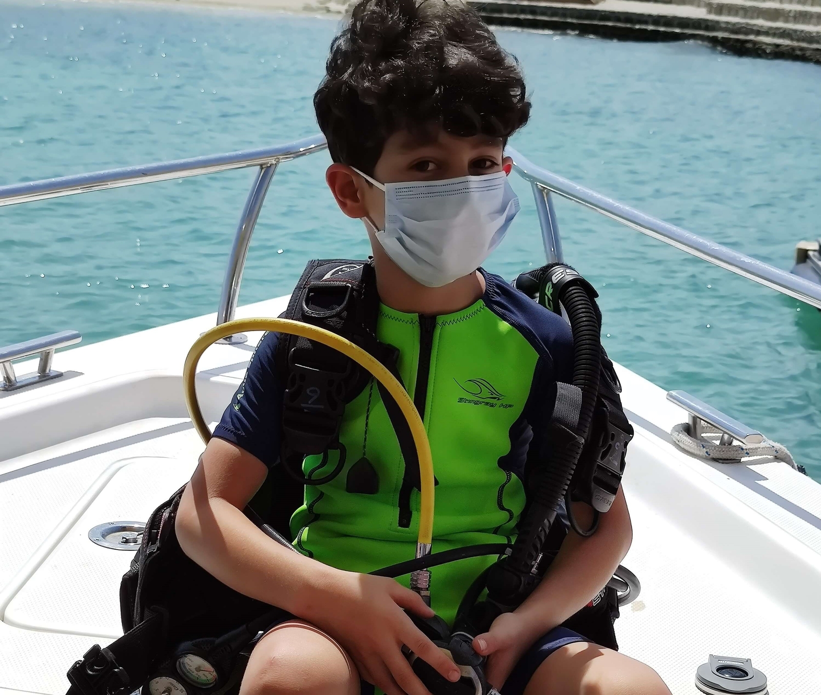 دلفین برنز دلفین برنز