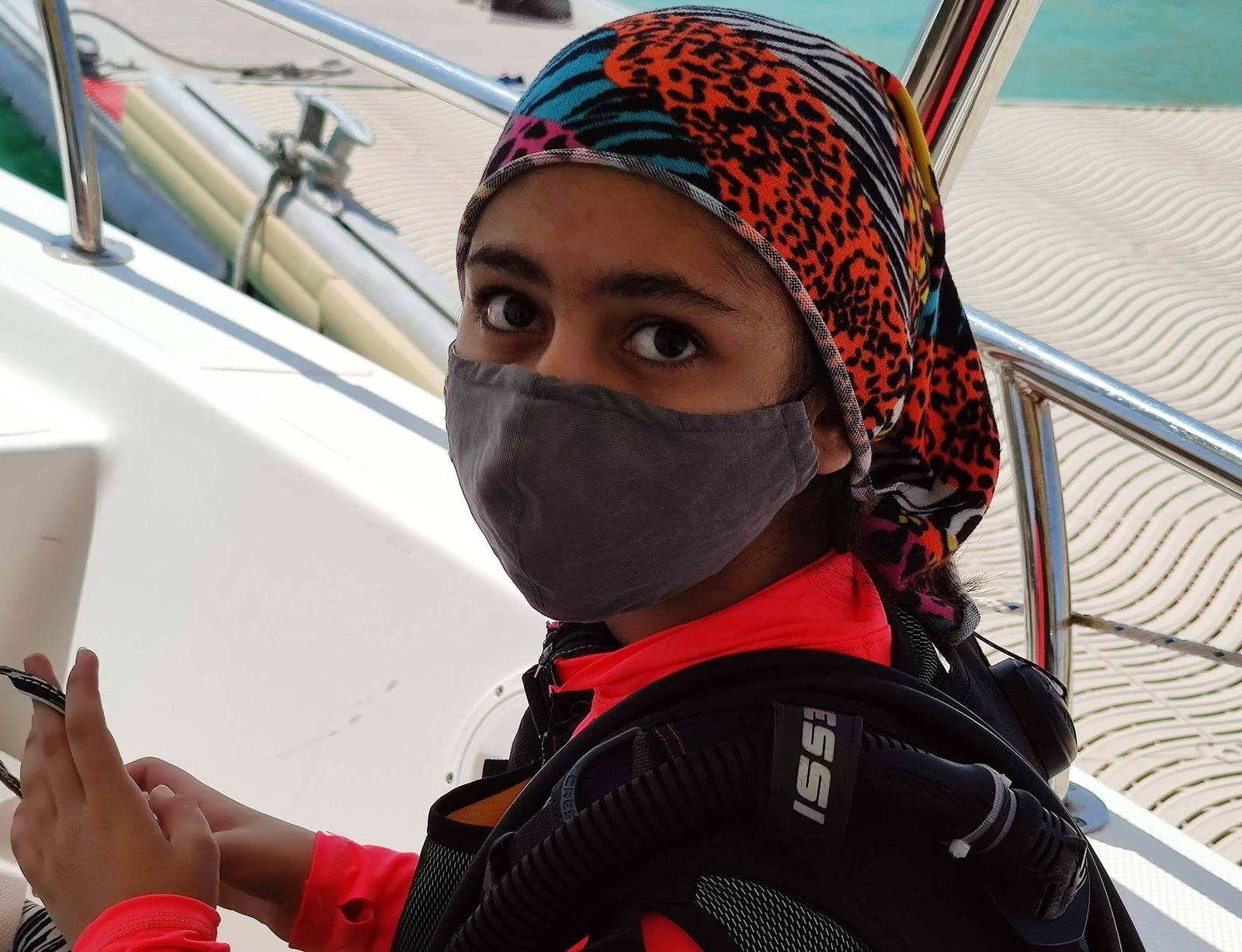 دلفین نقره دلفین نقره