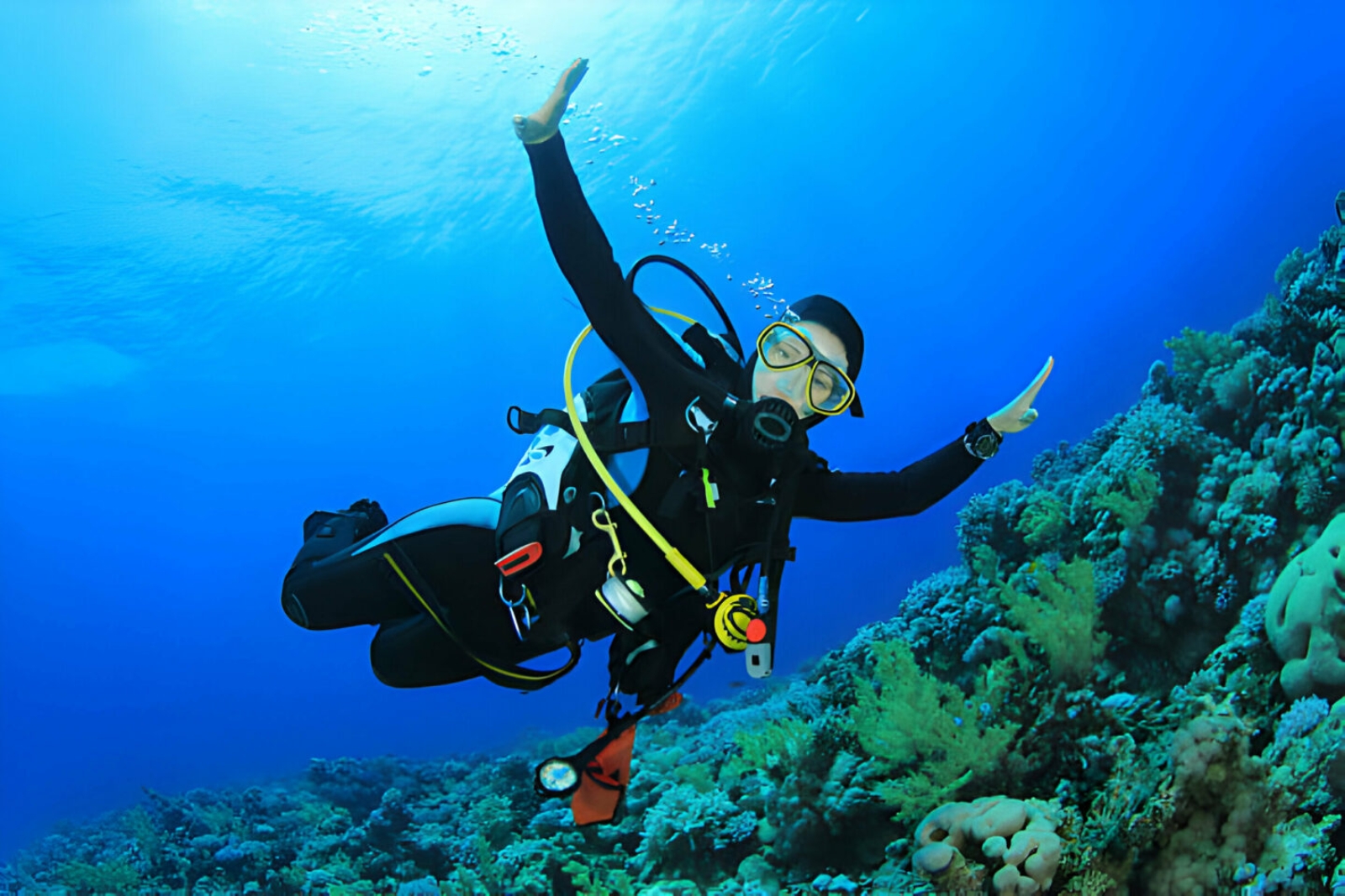 استاندارد غواصی معلولین (قسمت سوم) استاندارد غواصی معلولین (قسمت سوم)