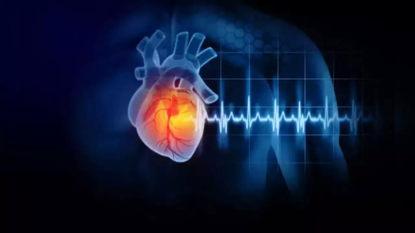 آموزش CPR آموزش CPR