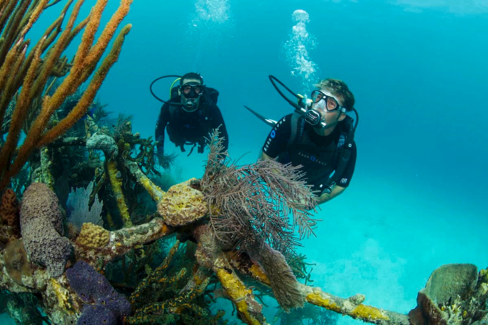 آداب و اصول غواصی: همیار غواصی آداب و اصول غواصی: همیار غواصی