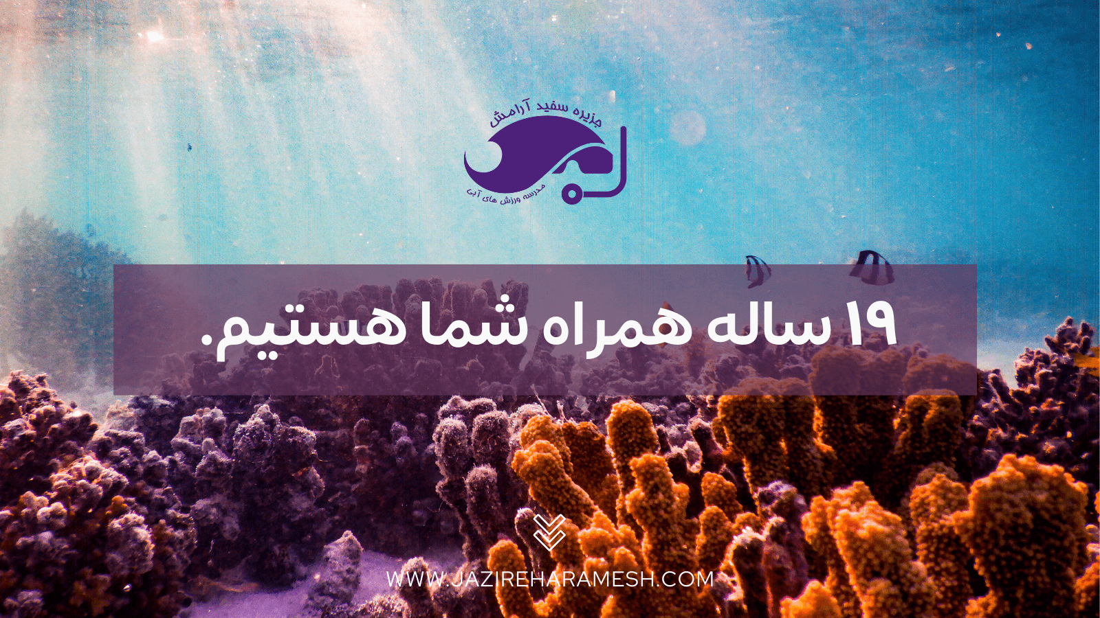 تخفیف در جشن 19 سالگی جزیره سفید آرامش تخفیف در جشن 19 سالگی جزیره سفید آرامش