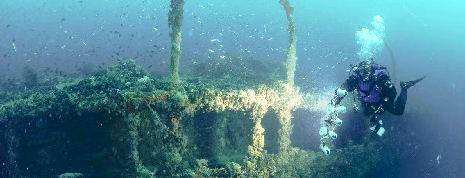 عجیبترین کشفیاتغواصی در دنیا عجیبترین کشفیاتغواصی در دنیا