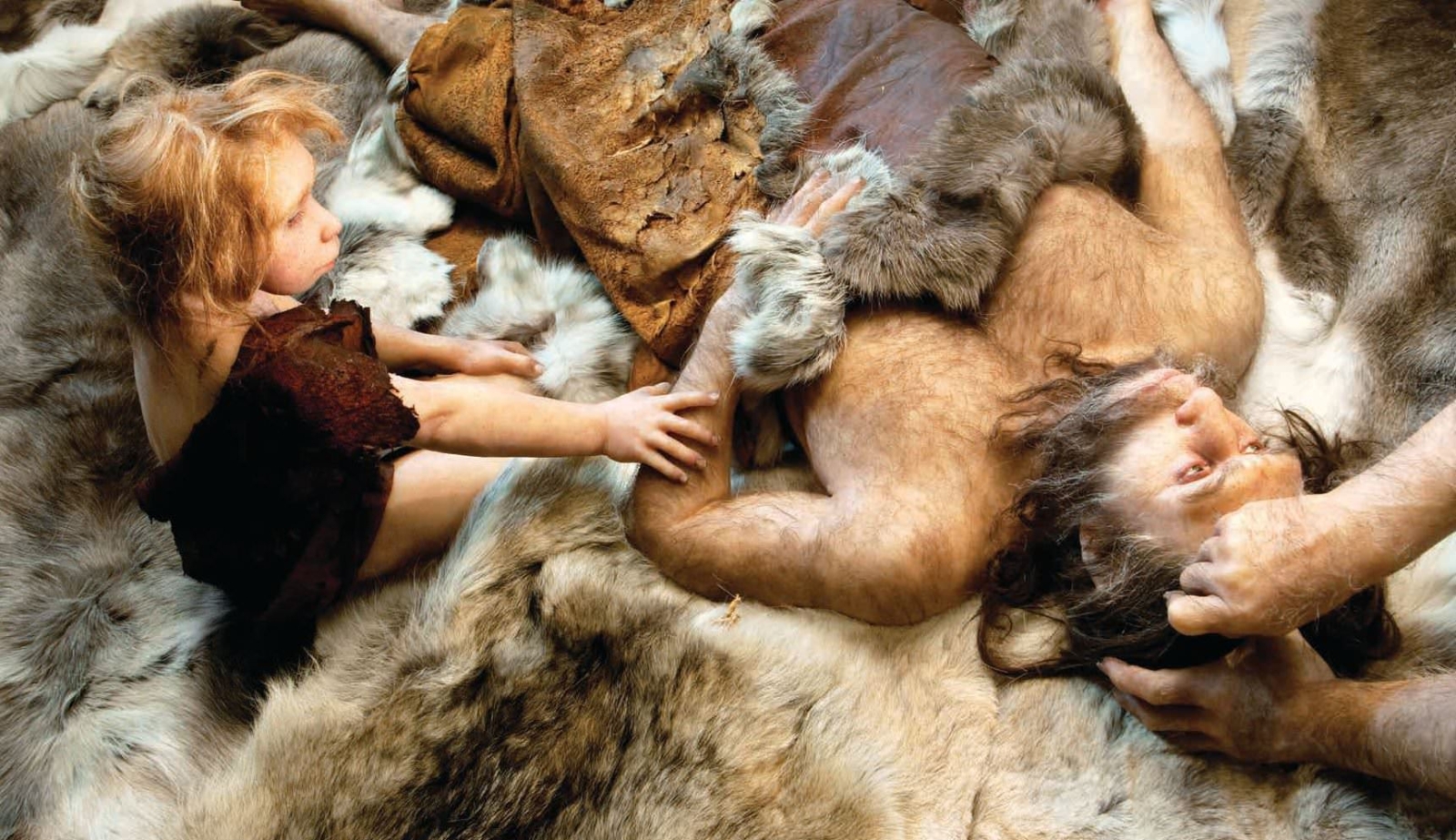 نئاندرتالها نئاندرتالها