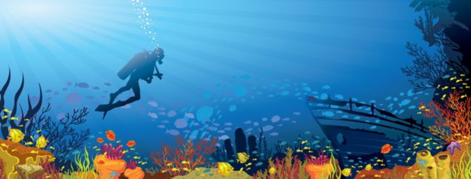 ترتیب از دست دادن رنگها در غواصی ترتیب از دست دادن رنگها در غواصی