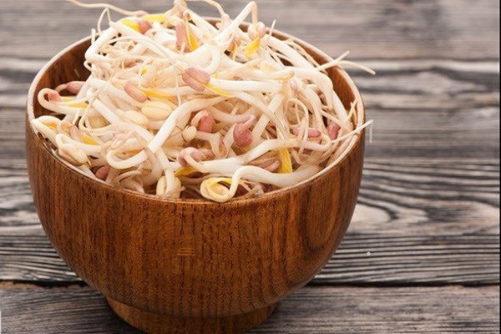 خوراکیهای مناسب برای غواصی خوراکیهای مناسب برای غواصی